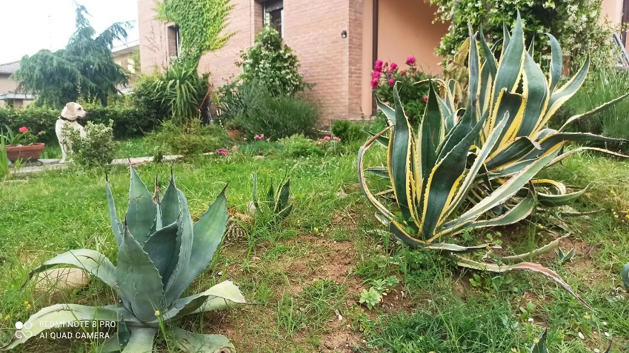 Hébergement de vacances Villa Casa Vincenzo 130 Mq Con Portico Ed Ingresso Esclusivo Dal Giardino à Felino