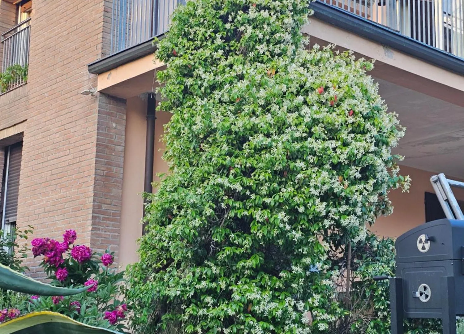 Casa Vincenzo 130 Mq Con Portico Ed Ingresso Esclusivo Dal Giardino Villa Felino 0*,  İtalya